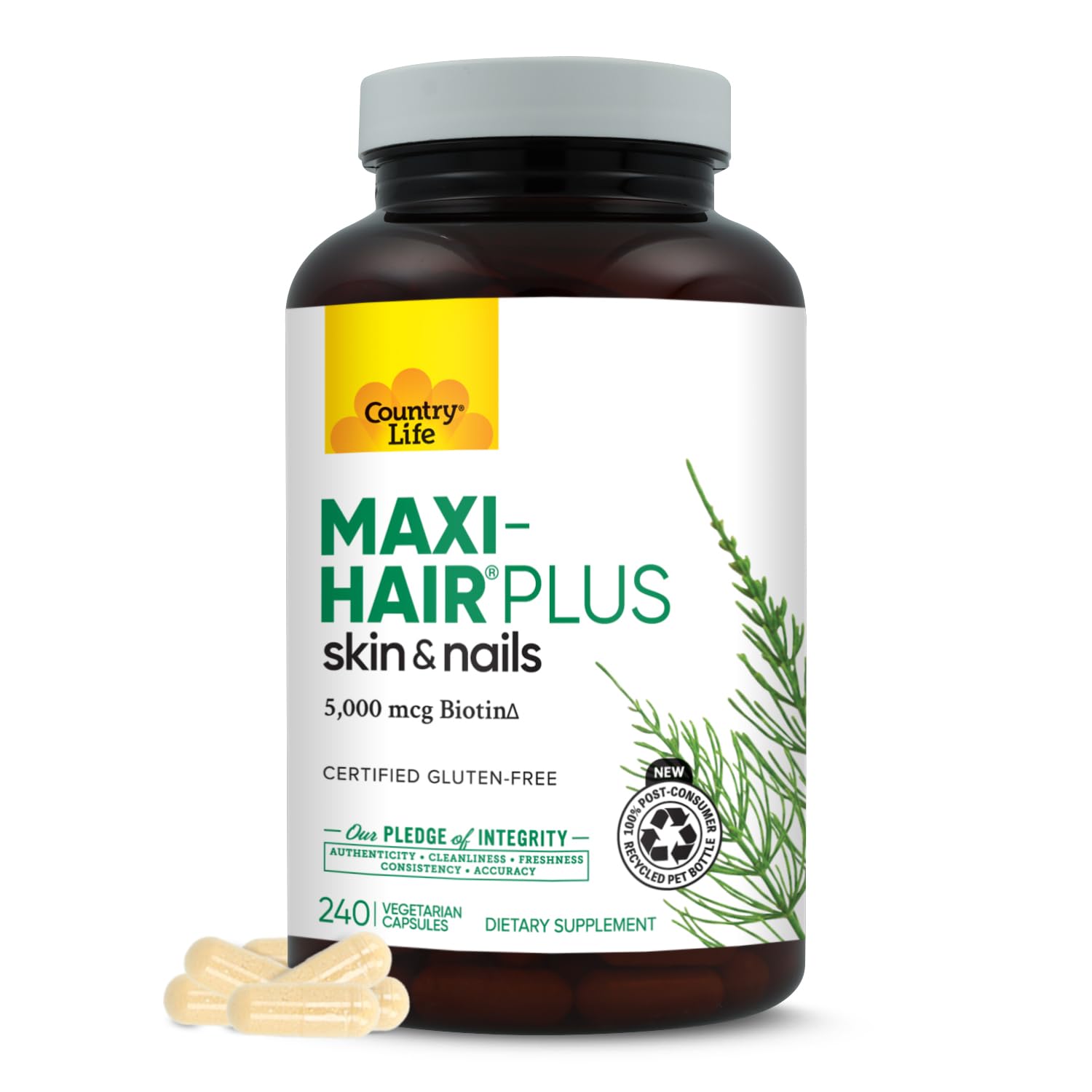 Maxi-Hair Plus Biotin, Supports Healthy Hair, Skin and Nails, Daily Supplement, 240 ct
