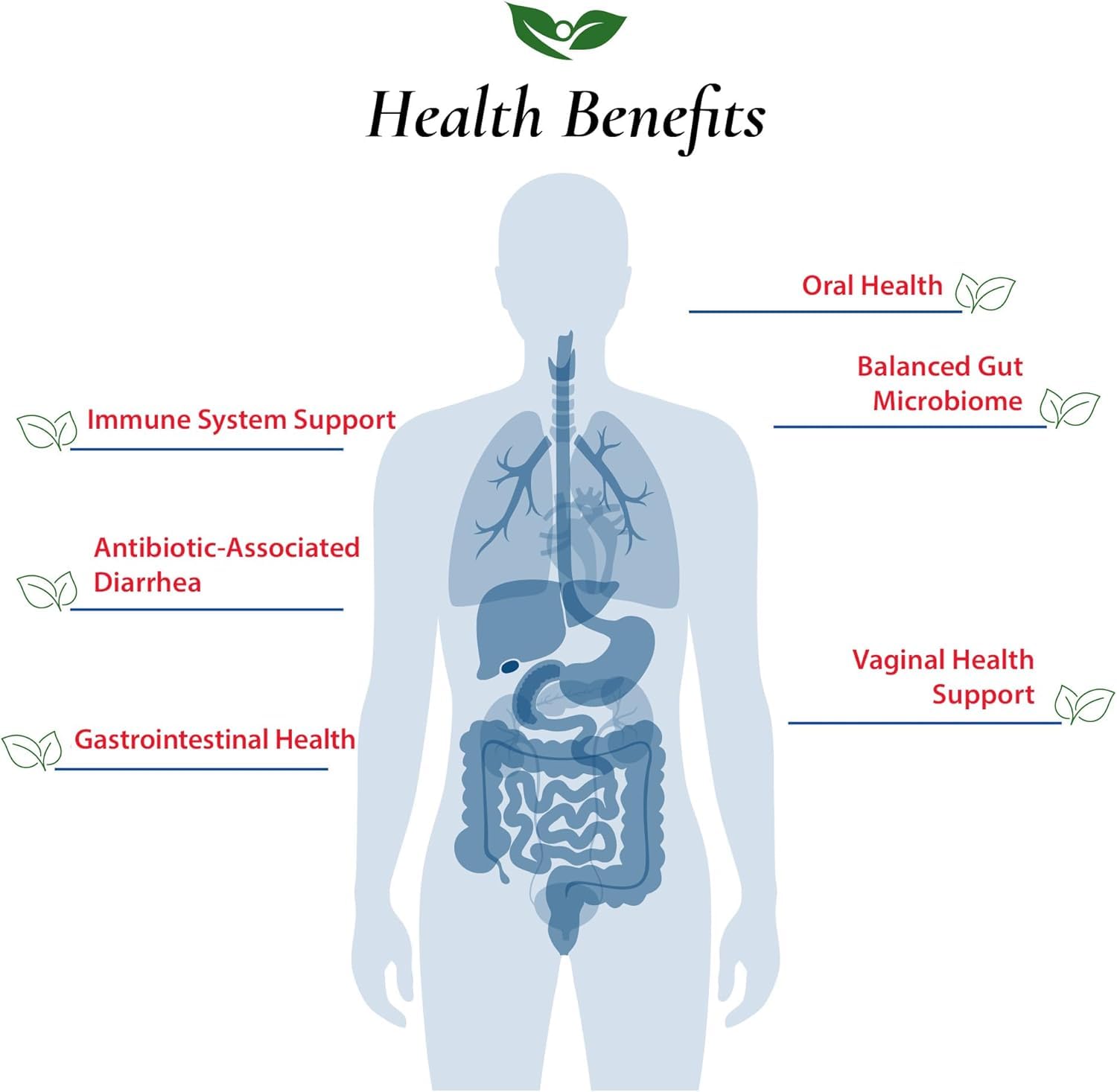 Foods For Gut Lactobacillus Rhamnosus GG Probiotic Powder 350 Billion cfu's | Made in USA | No Additives | Digestive & Immune Support | High Potency | L. Rhamnosus GG | 60 Grams (2.11 Oz)