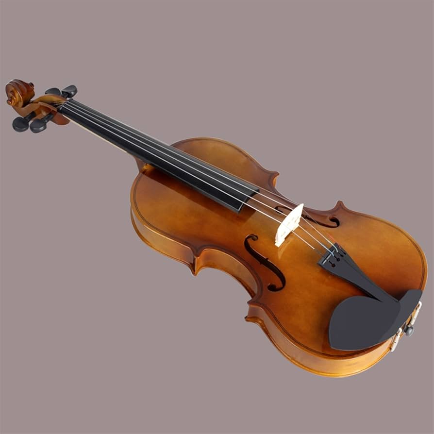 Amazon.co.jp: バイオリン楽器 Basswoy Violin 4/4 3/4 1/2 1/4