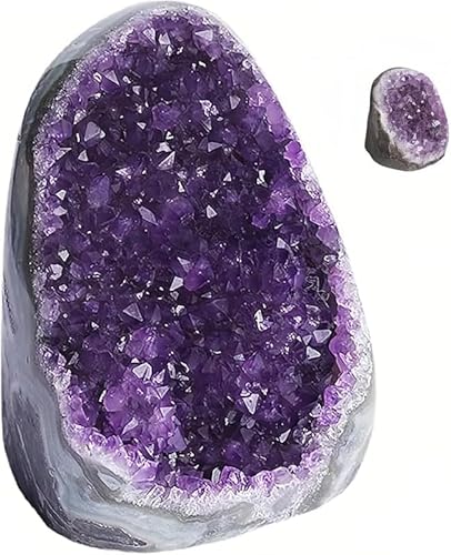 ScifimpVR΃AWXg΃h[ NX^[ p[Xg[ 򉻒u CeA 2a v[g p