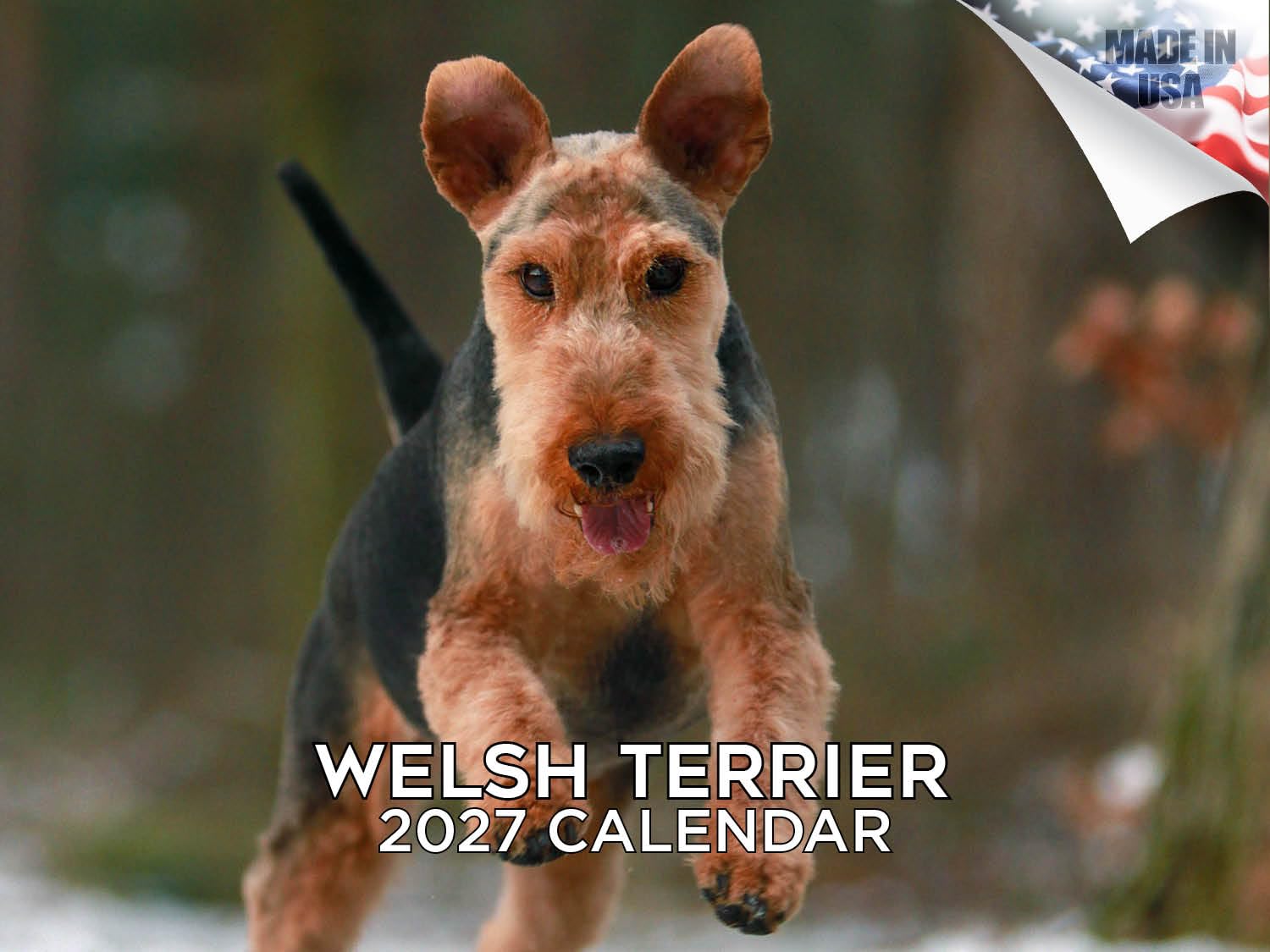 2024 2025 Welsh Terrier Calendar - Dog Breed Monthly Wall Calendar - 12 x 18 Open - Thick No-Bleed Paper - Giftable - Academic Teacher's Planner Calendar Organizing & Planning — image 1