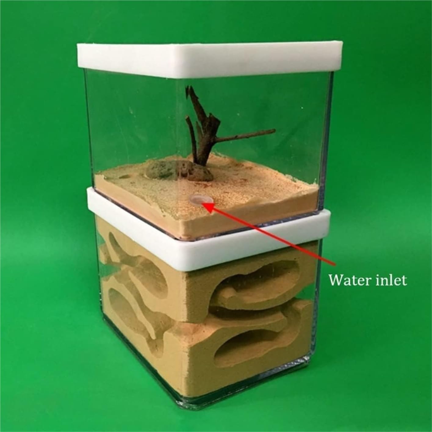 Gypsum Ant Castle