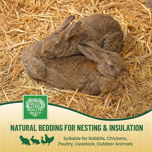 Small Pet Select - Golden Wheat Straw Bedding, 100% Natural Plant Material, Soft Animal Bedding Litter with Odor Control for, Rabbit, Hamster, or Bunny, Habitat Accessories, Made in USA, 8lb - Image 4