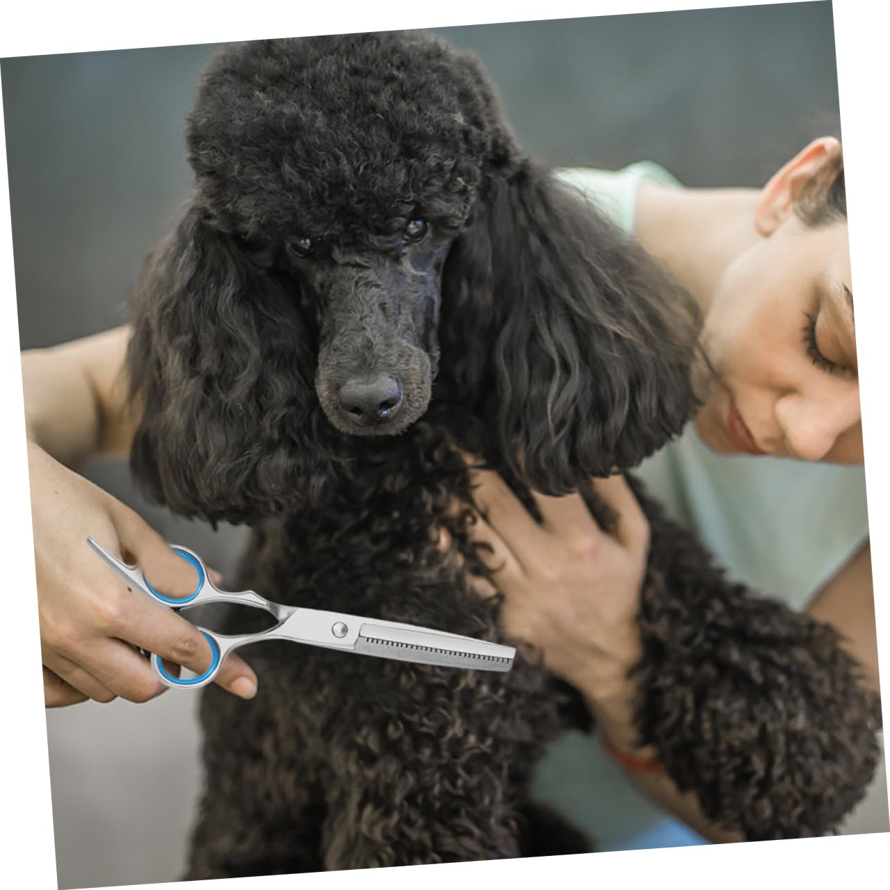 Toddmomy Pet Grooming Scissors Set 2pcs Strong Stainless Steel Hairdressing Scissors for Dog Cat Trimmers