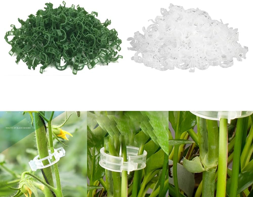 200pcs Plant Support Clips, Tomato Support Wisteria Plant, for Climbing Plants Fixing Clip Supports for Outdoor, for Fixing Tomatoes, Eggplant Fruit Vegetables Grafting Tools (W+G)
