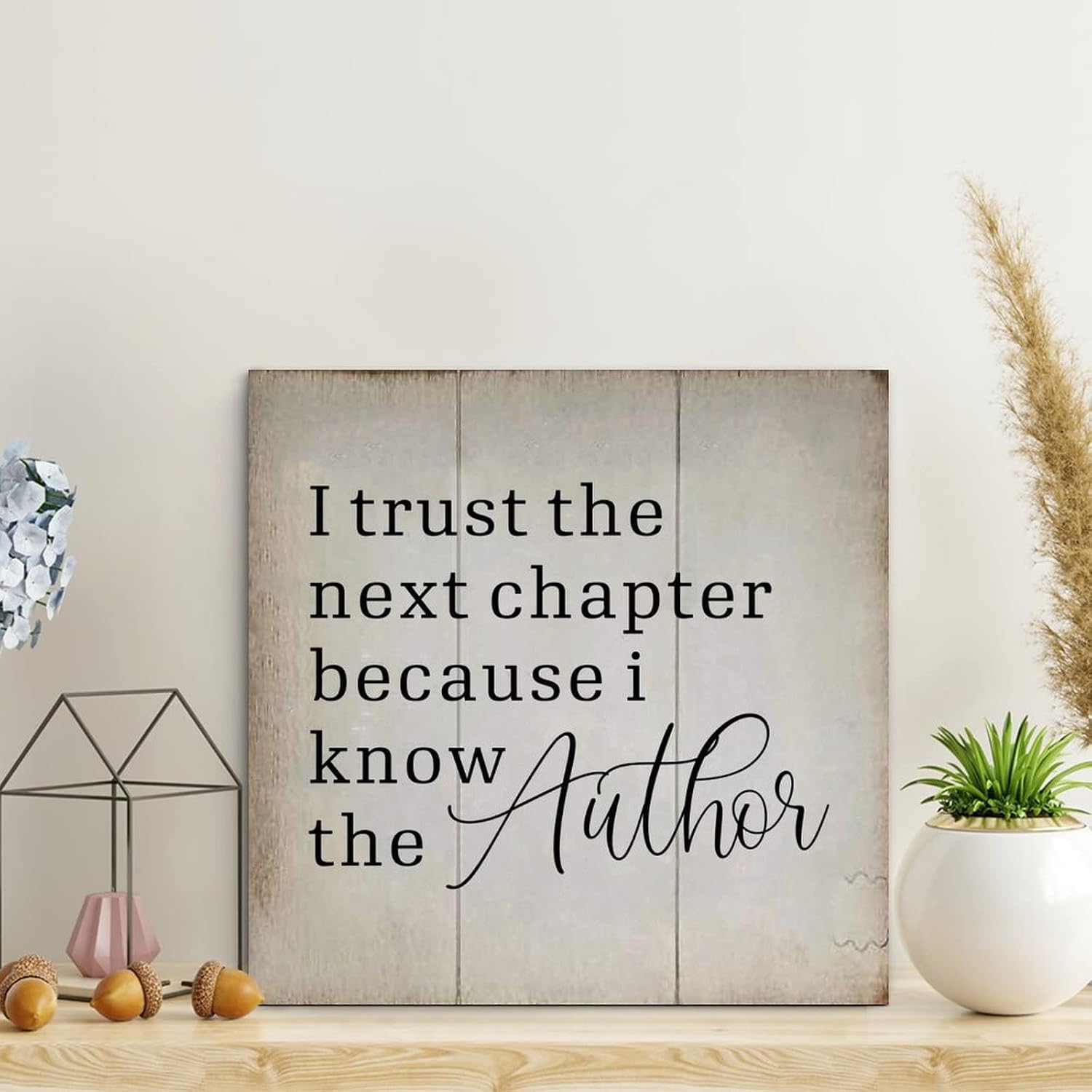 LITTLEGROVE SEEDS I Trust The Next Chapter Because I Know The Author Wood Signs Vintage Funny Wooden Sign Wall Art Rustic Wall Decorations for Living Room Kitchen Wall Hanging Signs 10x10in