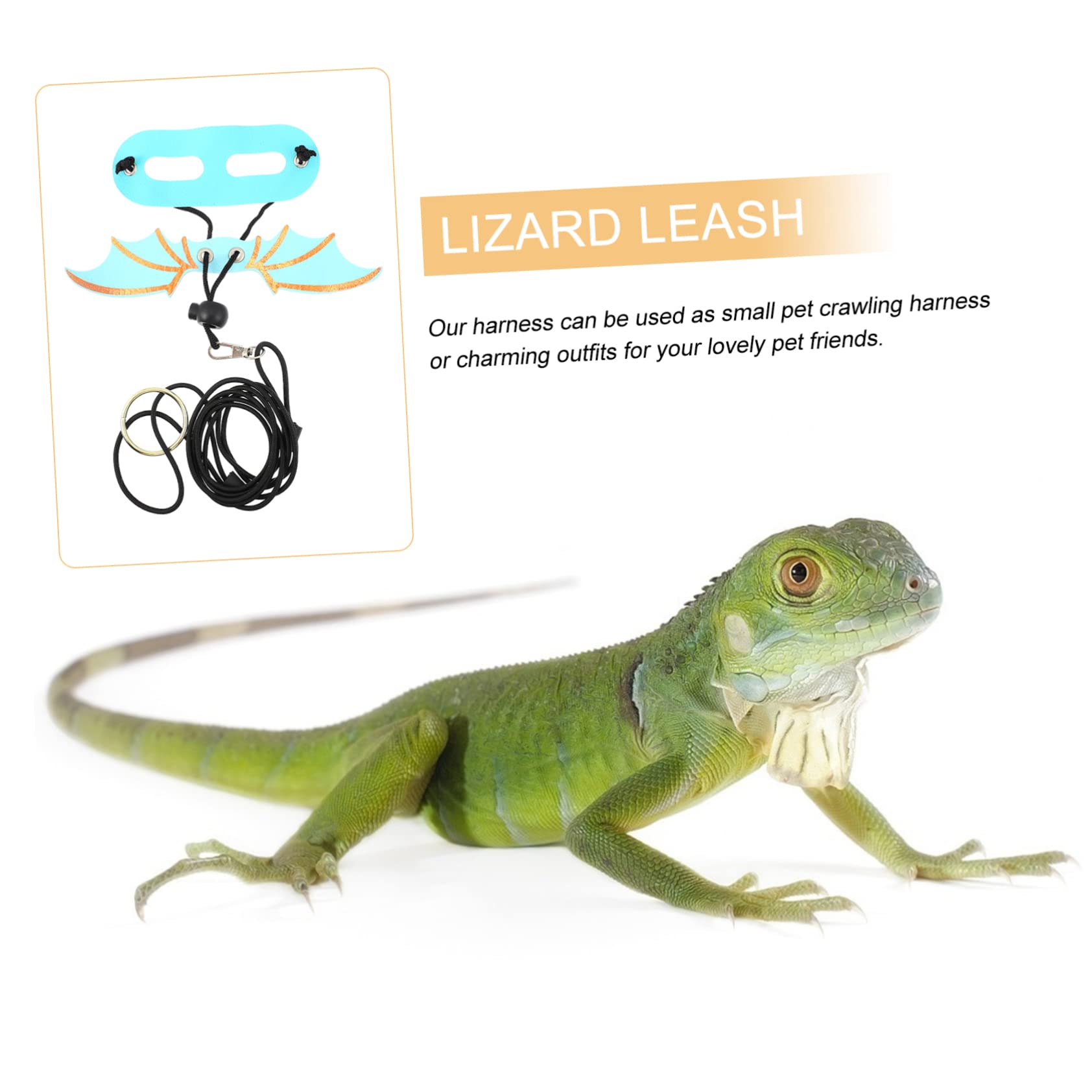 COLLBATH 5Pcs Adjustable Lizard Wing Leash for Reptiles Harness and Leash for Pets for Outdoor Walks and Safe Escapes for Lizards and Geckos