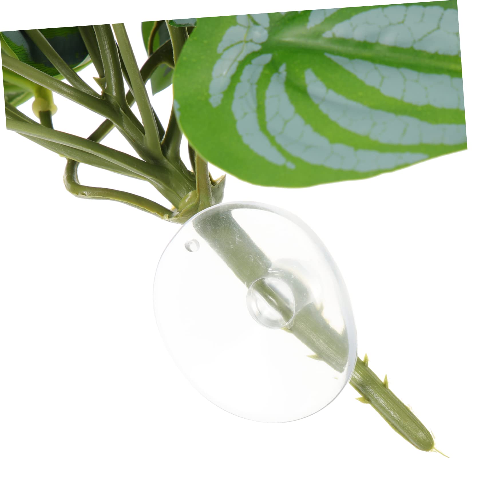 Happyyami 10piezas Plantas Decorativas Artificiales para Terrario De Reptiles Simuladas De Alta Realidad para Acuarios y Hábitats De Mascotas Decoración Natural para Peceras y Espacios