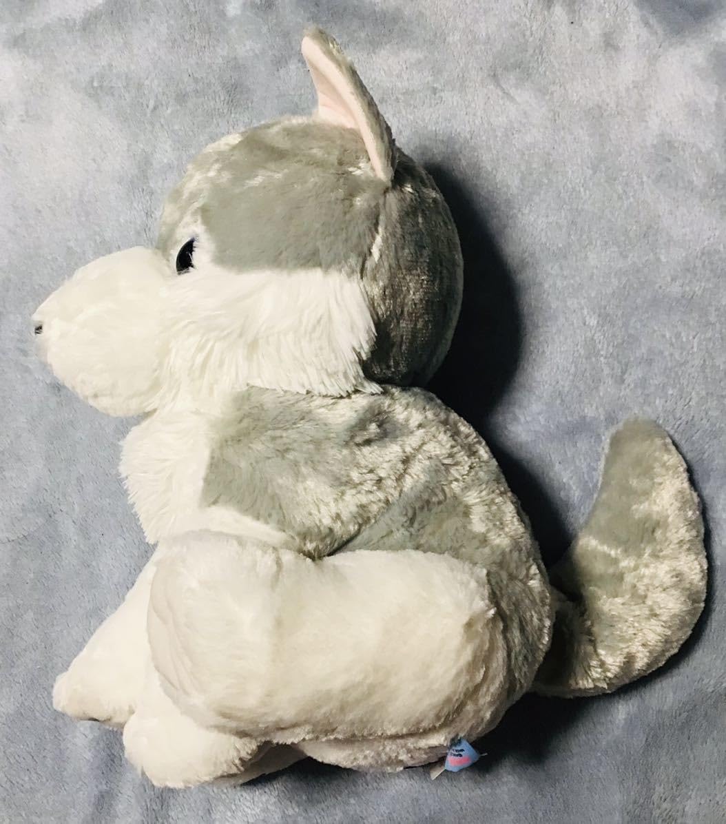 もふっと オオカミ カムちゃん ( ツンドラオオカミ ぬいぐるみ ) もふっと オオカミ カムちゃん ( ツンドラオオカミ ぬいぐるみ )