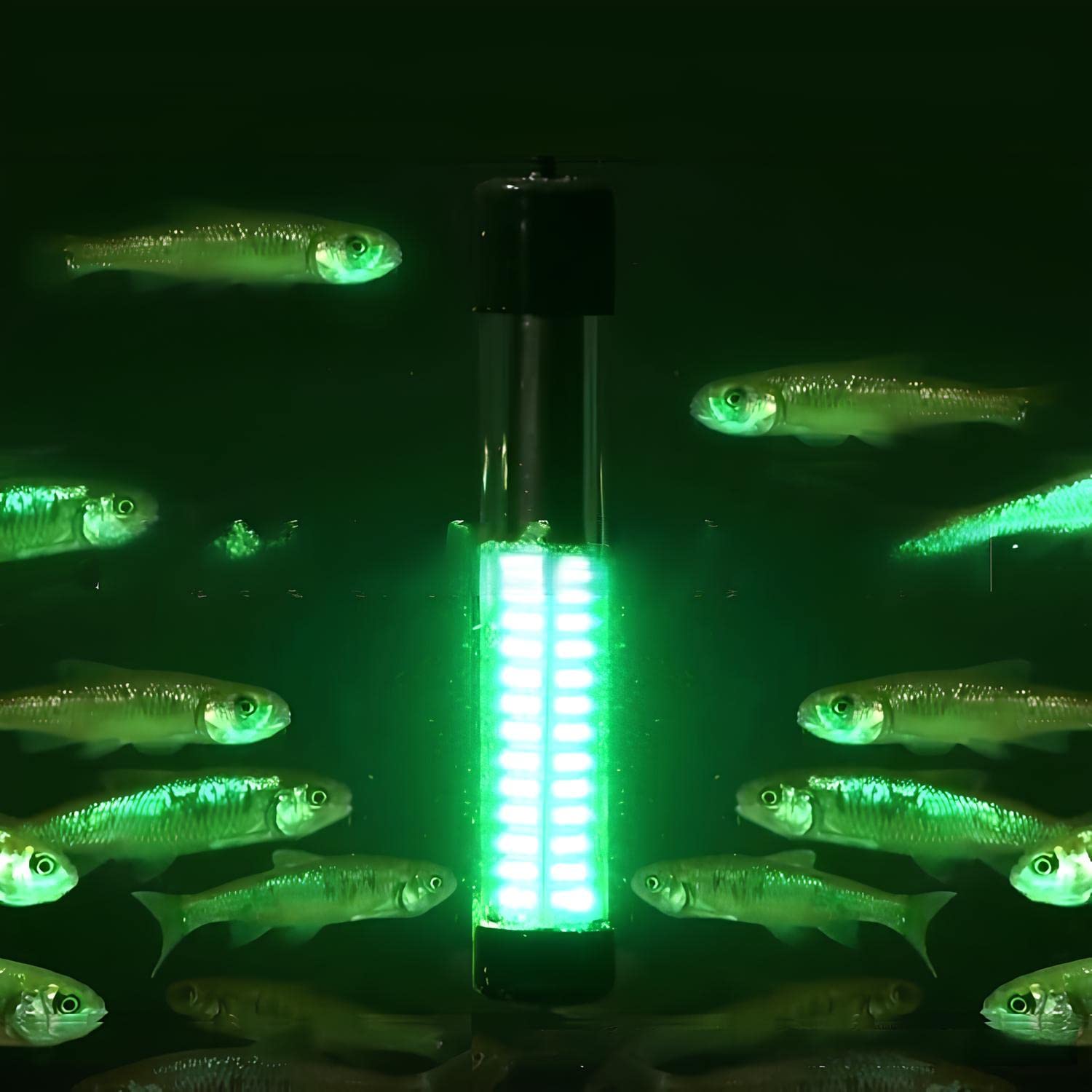 Amazon.co.jp: 水中集魚灯 ライト フィッシング180LED 360度発光
