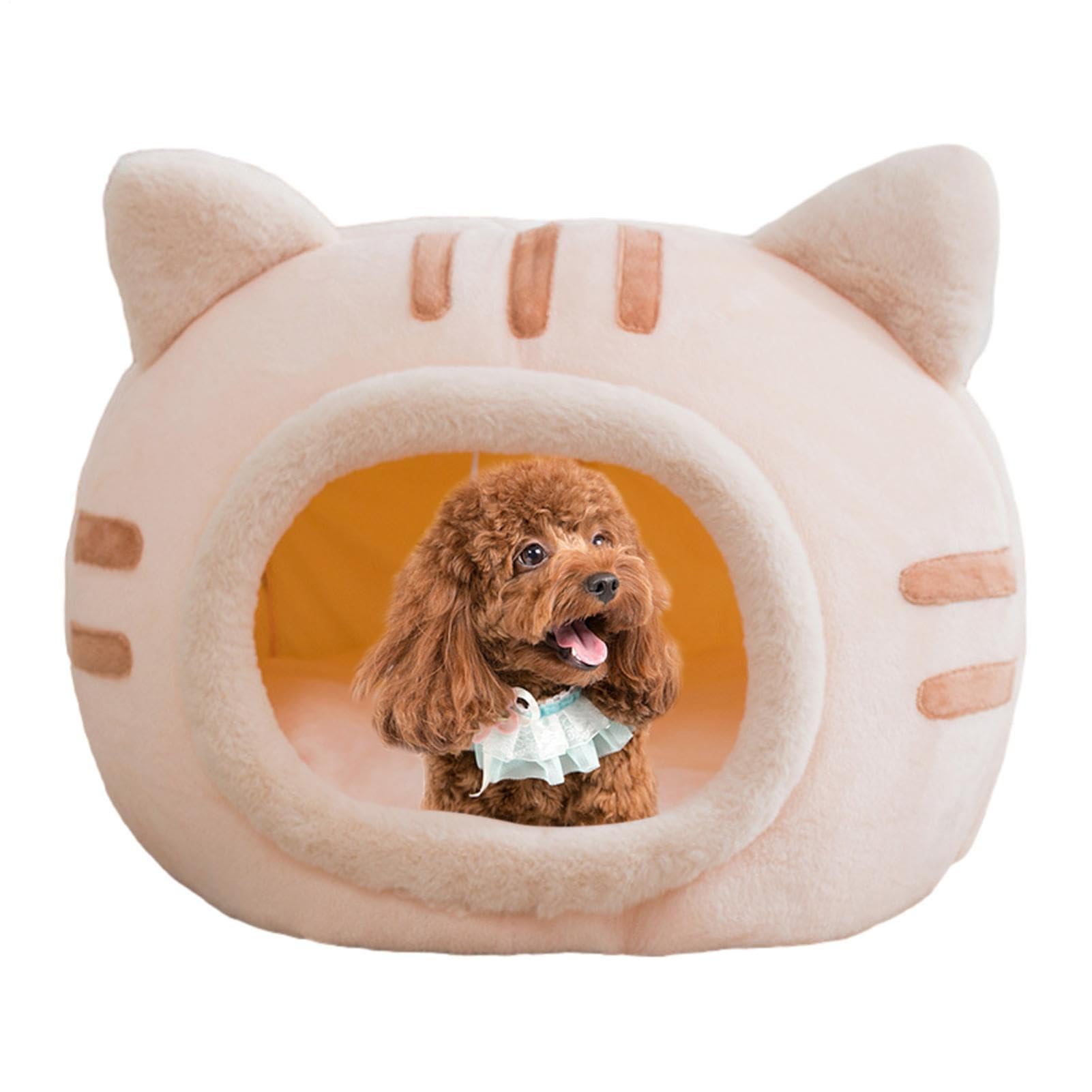 Maison chaude pour petit chien et chat offrant un nid douillet protecteur