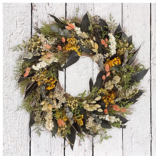 ANDALUCA-20-in-Preserved-Eucalyptus-Dried-Flowers-Natural-Wreath-Floral-Blooms ANDALUCA 20 in Preserved Eucalyptus Dried Flowers Natural Wreath Floral Blooms