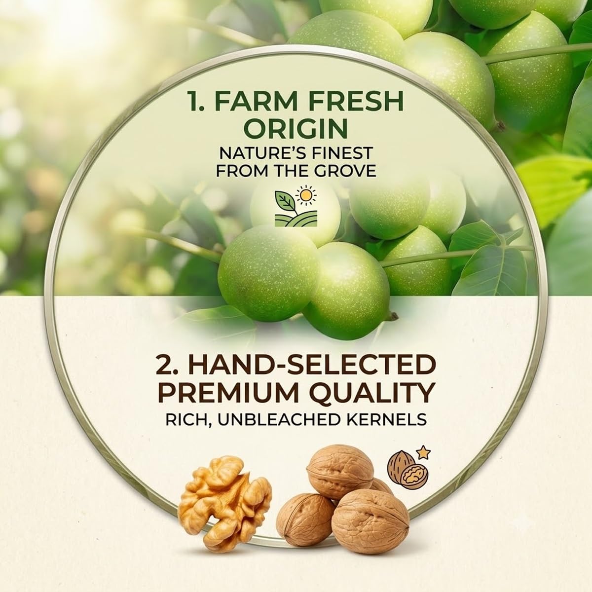 Nueces Con Cáscara Delgada Premium 468g - Enteras Fáciles De Pelar, Corazones Carnosos Y Crujientes, Snack Alta Montaña Para Yogur Ensalada Repostería(3pcs)
