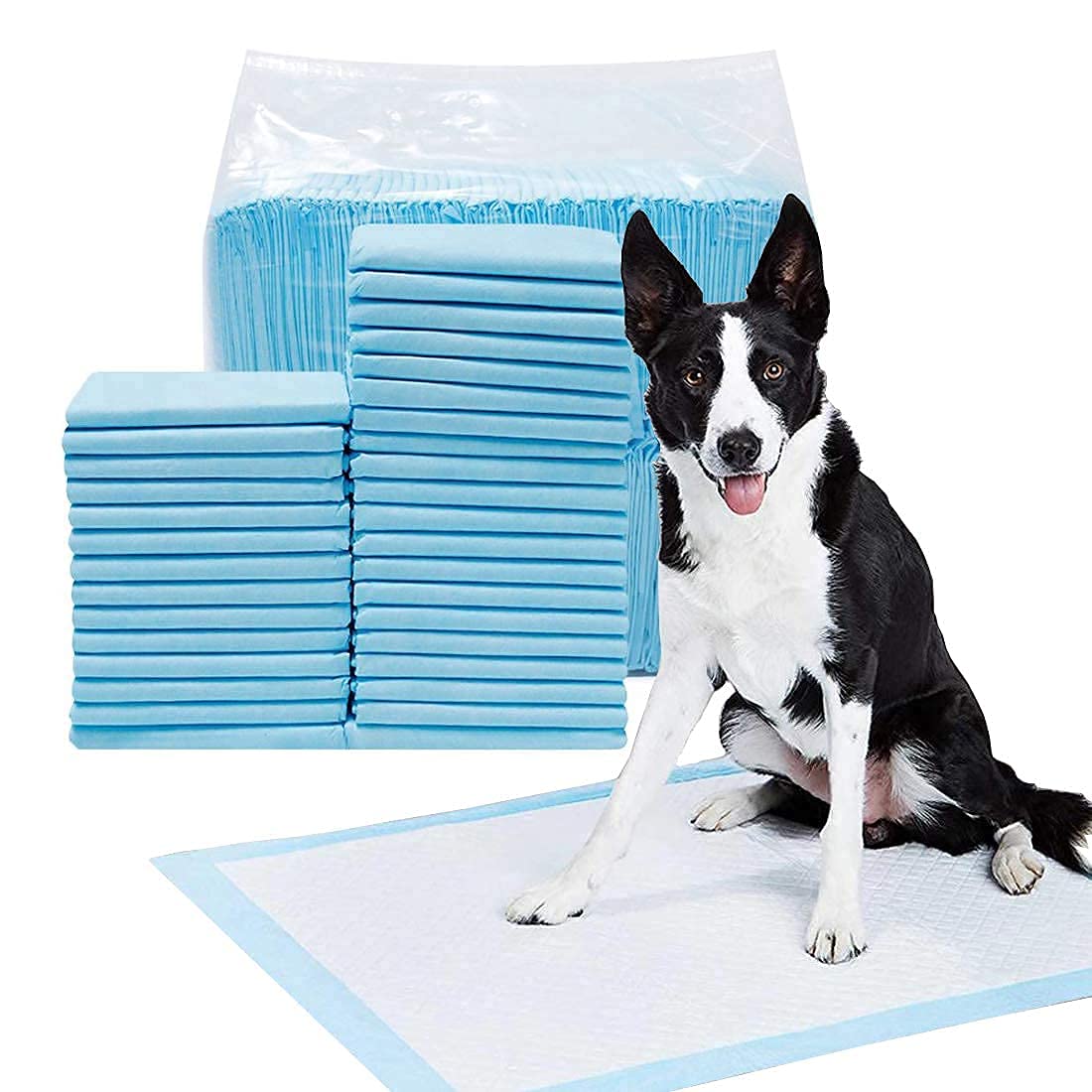 RvPaws Dog Training Pads/Training Pee and Potty Pads with Quick Drying Surface and Absorbent Core/Suitable for Small/Large Breed Puppies/Size: XL/L-60 cm X H- 45 cm (25 Pcs)