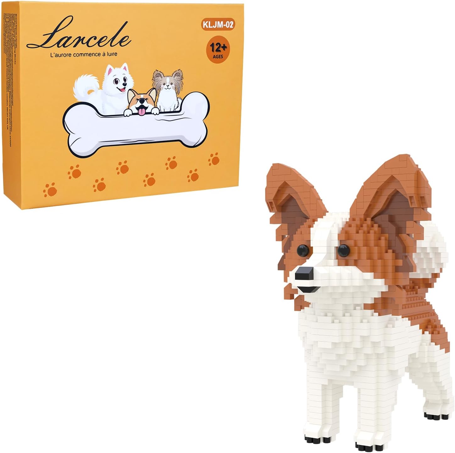 Papillon