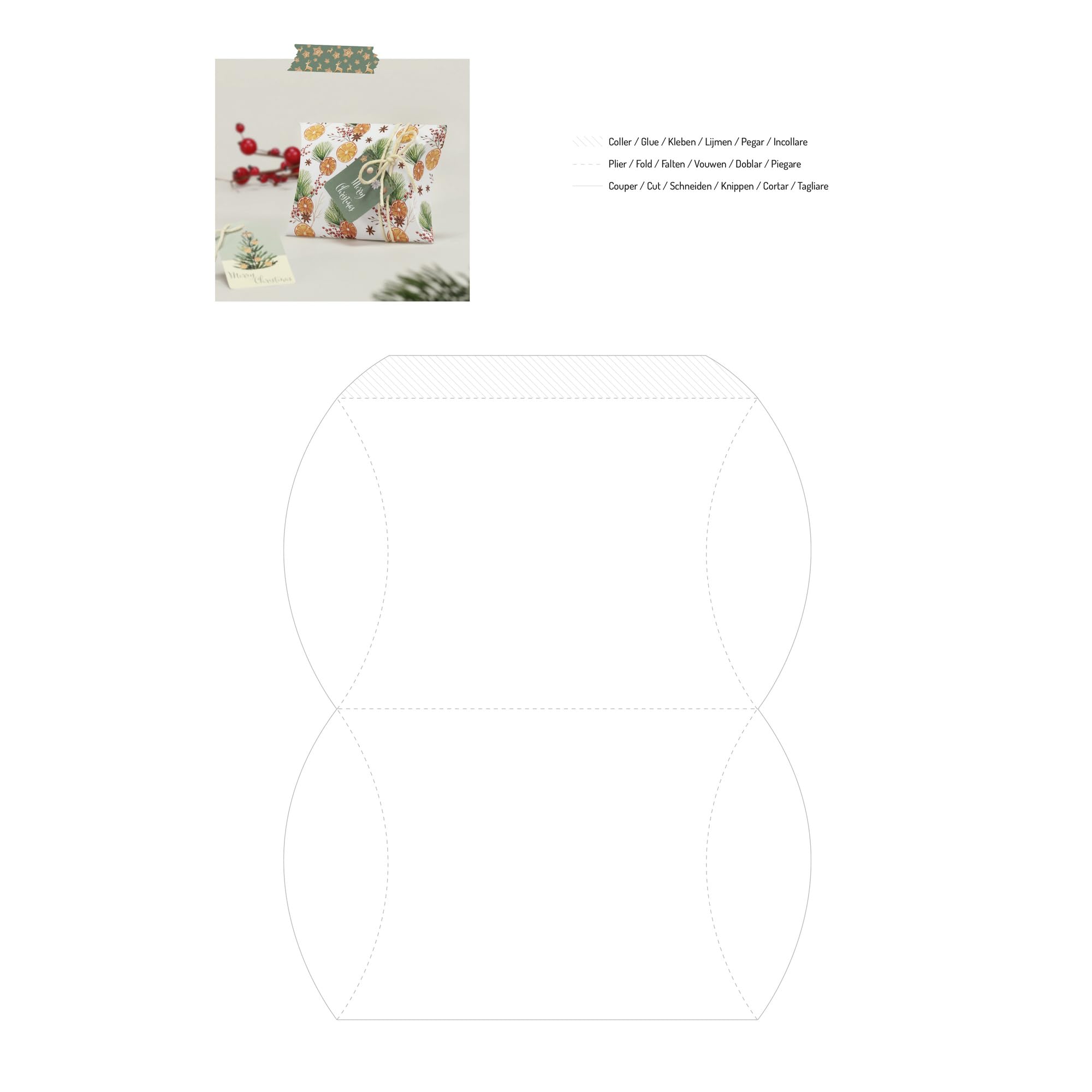 Clairefontaine 95547C - Bloc de papel impreso con 20 hojas de vitaminas, diseño navideño, A4 (21 x 29,7 cm), 160 g/m², 2 hojas de etiquetas, idea creativa con plantilla para ocio