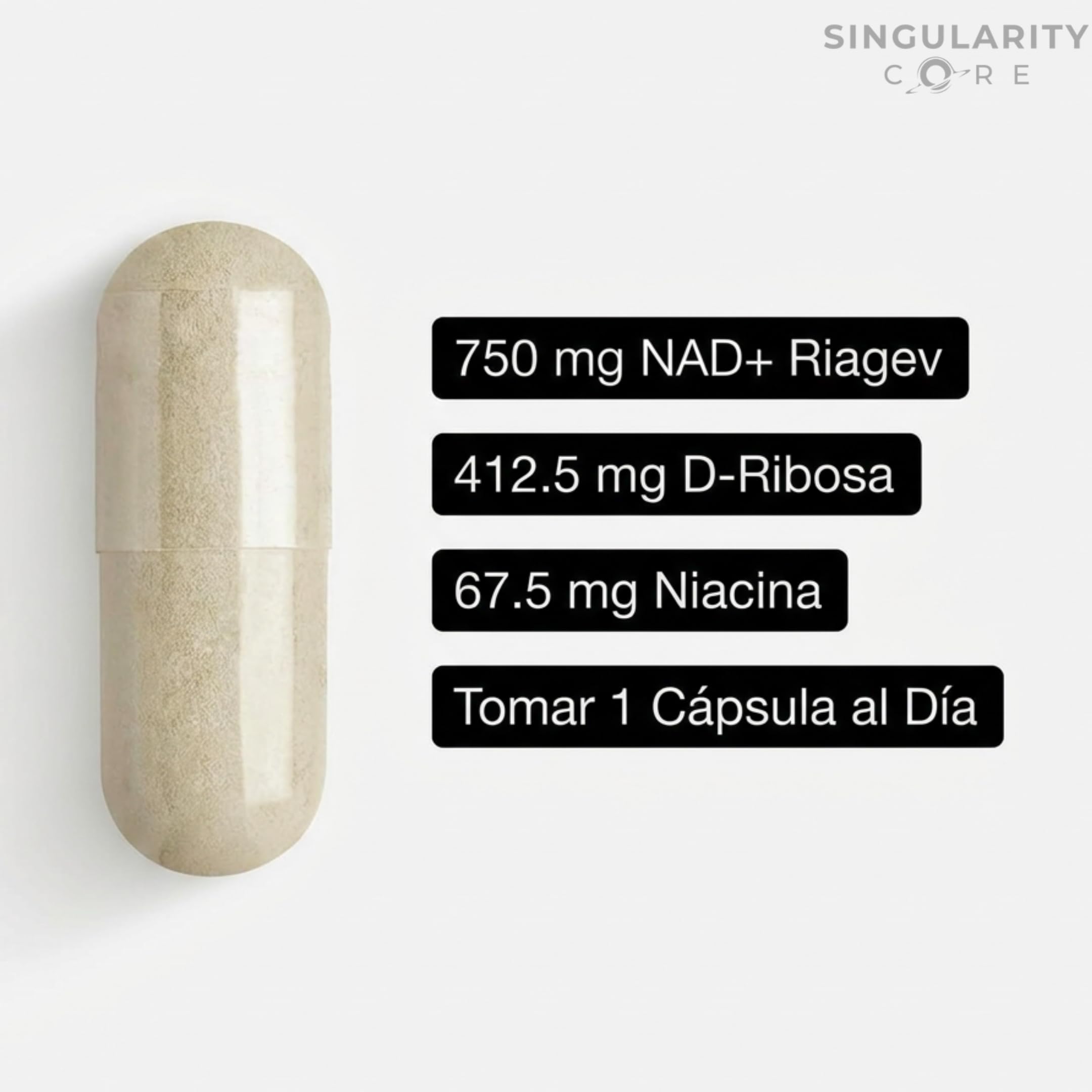 NAD+ Liposomal RiaGev 750mg - 3 meses - Alternativa Premium a NMN, NR, NADH y NAD Resveratrol Puro - Con Nicotinamida y D-Ribosa - Energía, Enfoque y Recuperación Celular