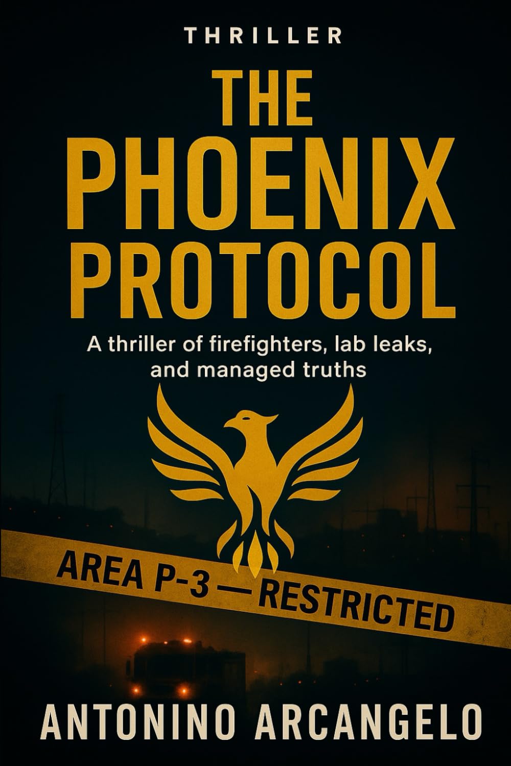 THE PHOENIX PROTOCOL: When risk management turns into an experiment on a city