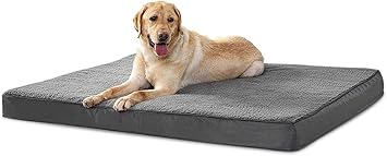 KOZI PET Foam Dog Bed for Small, Medium, Large and Extra Large Dogs/Cats -Crate Foam with Washable Bed - (XL, Grey)