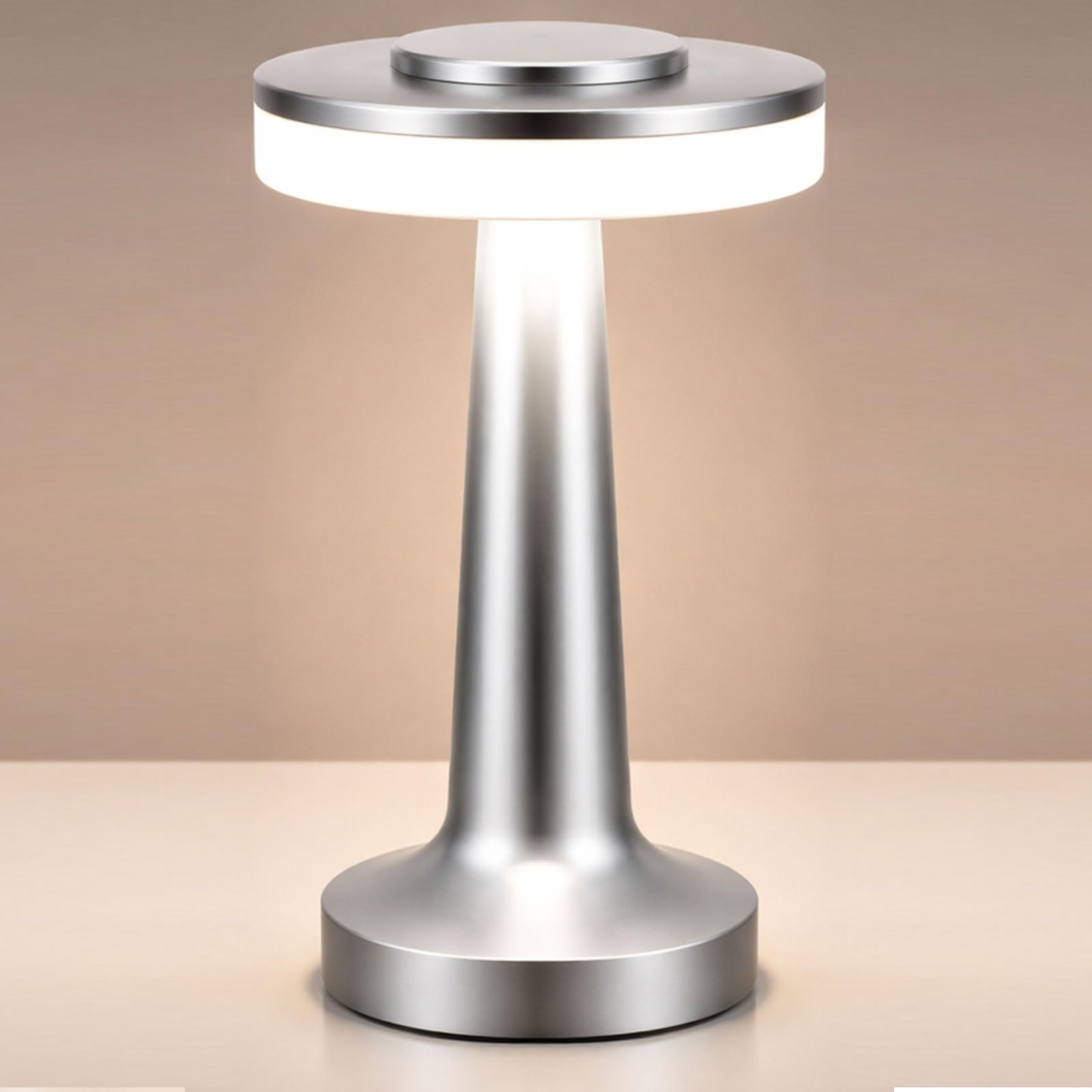 Riakrum 1 Pcs LED Cordless Table Lamp Bulk Rechargeable,Silver
