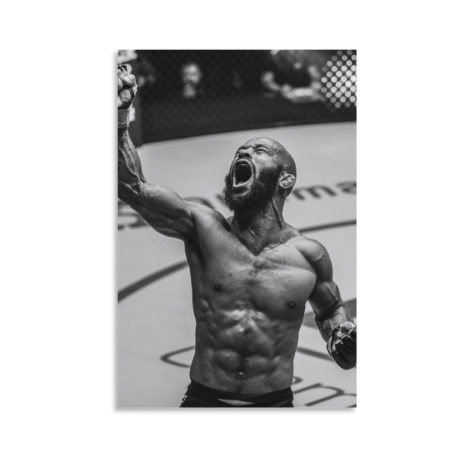 FCOIN Demetrious Johnson Canvas Poster Artworks Canvas Poster Wall Art Prints Home Modern Decor 16x24inch(40x60cm)