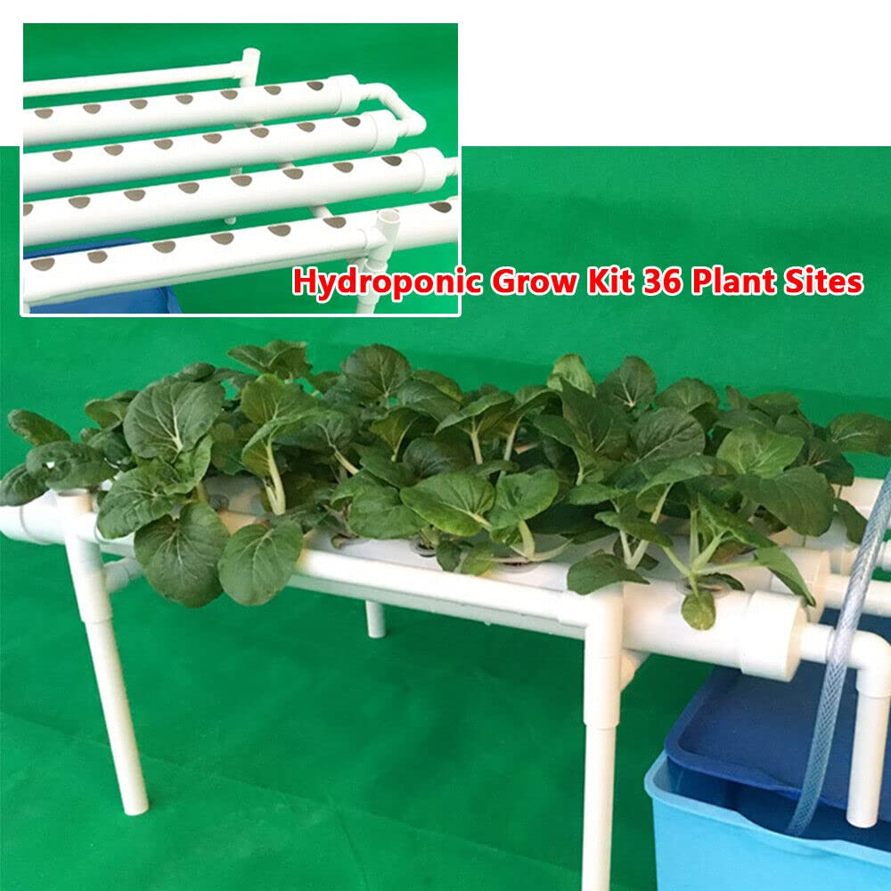 Treeisland Sistema hidropónico, kit de cultivo hidropónico con 36 plantas de cultivo hidropónico de PVC para casa, jardín, oficina