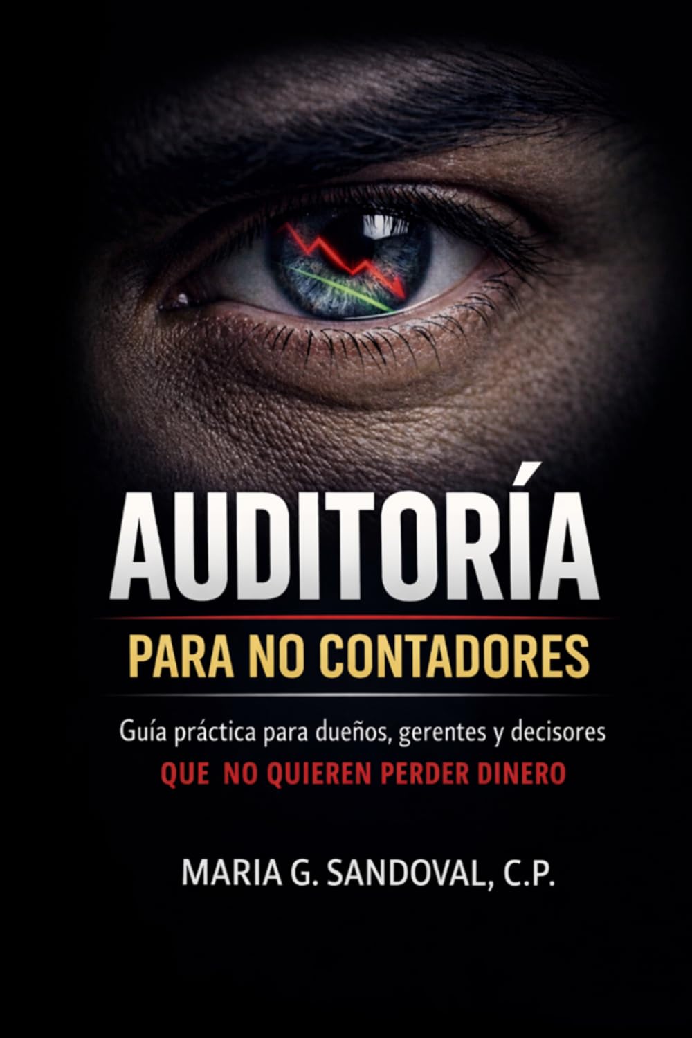 Auditoría para no contadores: Guía práctica para dueños, gerentes y decisores que no quieren perder dinero