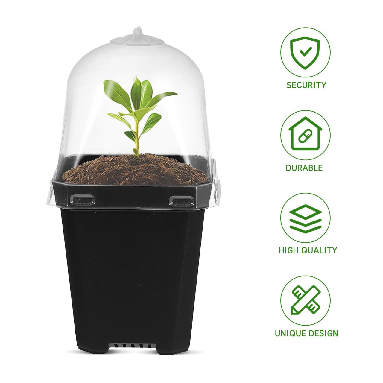 Juego de 10 Mini maceteros para Interior, con Tapa para Cactus, Plantas suculentas, alféizar de la Ventana, Invernadero, de plástico, para Plantas, sembrado y Hierbas ()