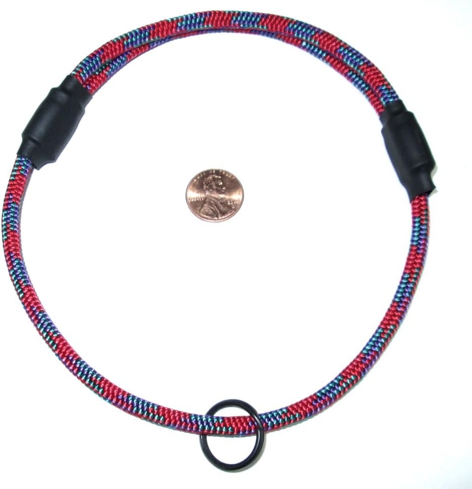 dog id collar