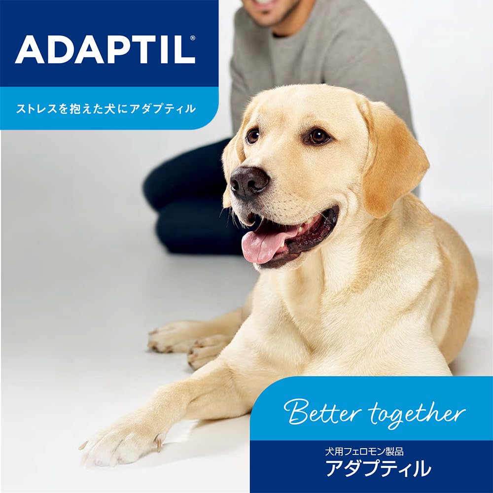 ADAPTIL カラーL & リキッド 48ml セット　未使用 Amazon.co.jp: アダプティルリキッド 交換用 48ml 1本 ADAPTIL