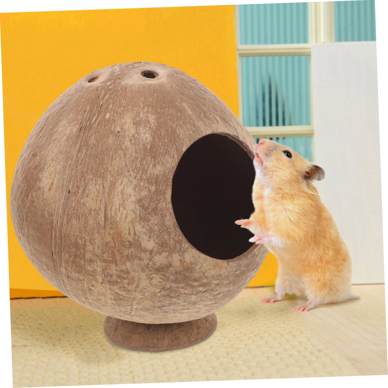 BESTonZON 2stücke Kokosnusshütte Für Hamster Und Kleintiere Versteckhaus Aus Kokosnussschalen Zum Verstecken Spielen Und Ausruhen Für Hamsterkäfige Und Meerschweinchenverstecke