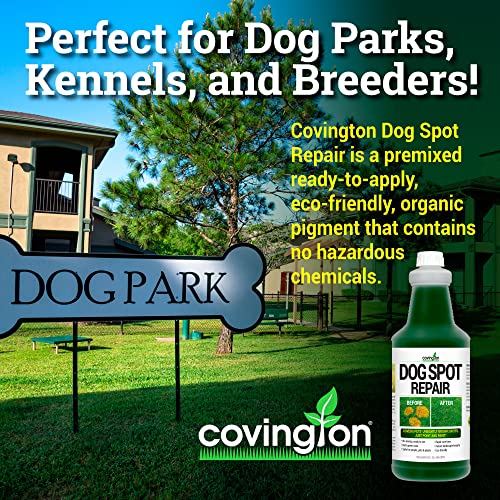 Covington Pre-Mixed Green Grass Paint For Lawn - Perfect Grass Color Fix For Dog Urine Spots Or Brown Patches - Green Grass Spray Paint For Lawn & Turf - Just Point & Spray - (32 Fl. Oz.) #TOP1