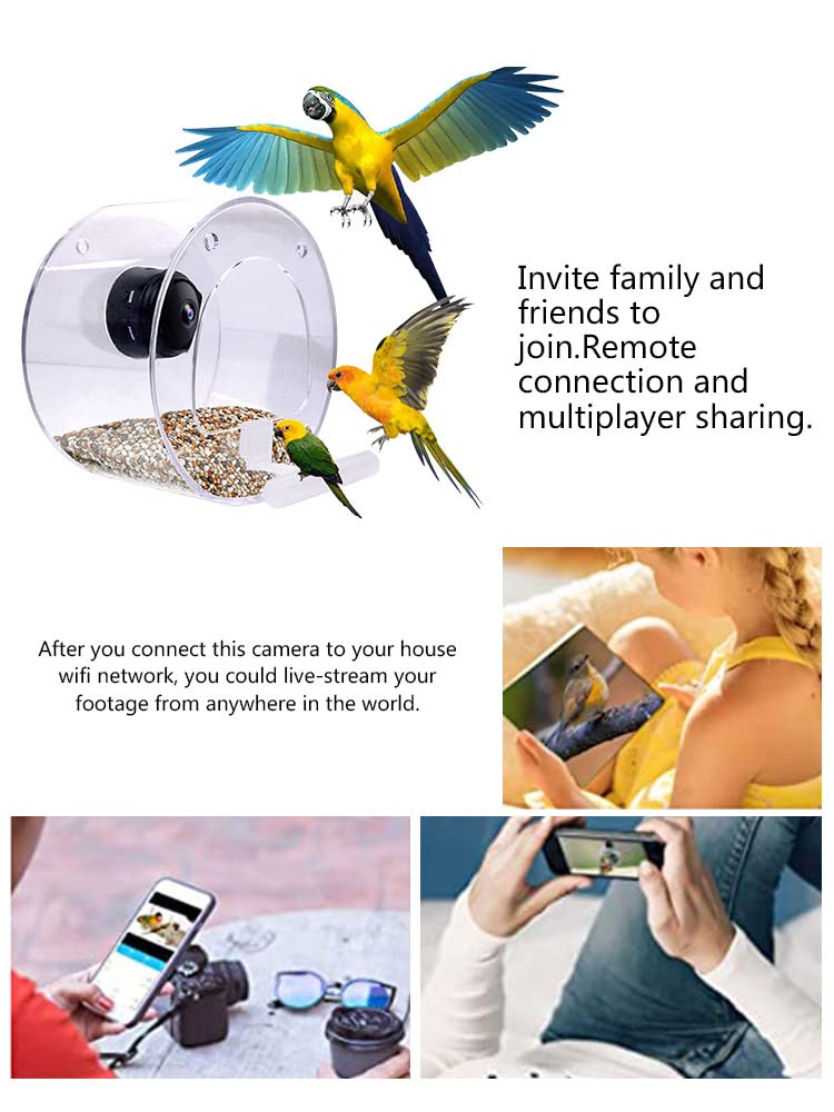 Mangiatoia per Uccelli con Fotocamera, Mangiatoia per Uccelli da Finestra con Forti Ventose, Mangiatoia per Uccelli con Telecamera WiFi Wireless 1080p, Videocamere Versione Notturna Cattura Foto di