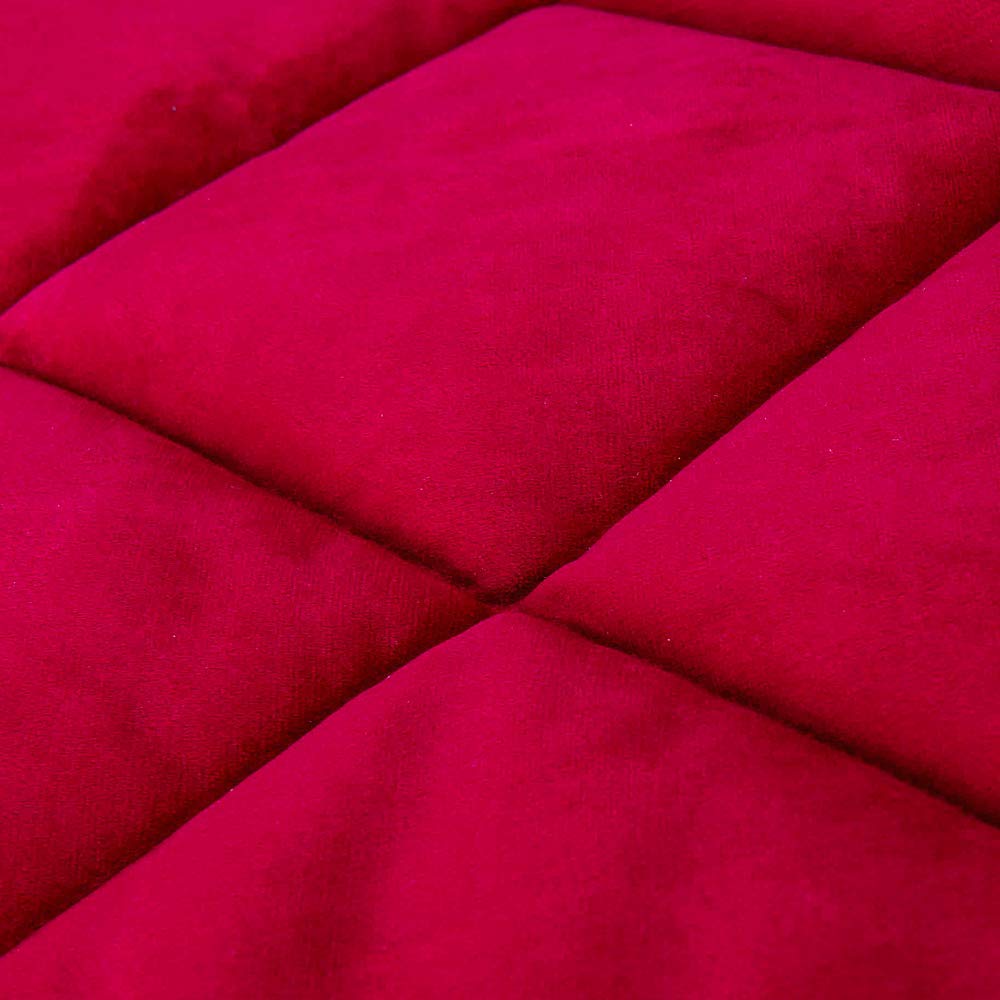EVERGREENWEB - Pouf Letto Singolo con Materasso in POLIURETANO h 10 cm SUITE Salvaspazio Pieghevole per Camera, Cameretta, Tavolino Soggiorno Puff Poggiapiedi, tessuto Sfoderabile VELLUTO colore Rosso