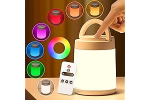 One Fire LED Night Light Lamp - A Dimmable, Rechargeable, Remote-Controllable Nightlight...