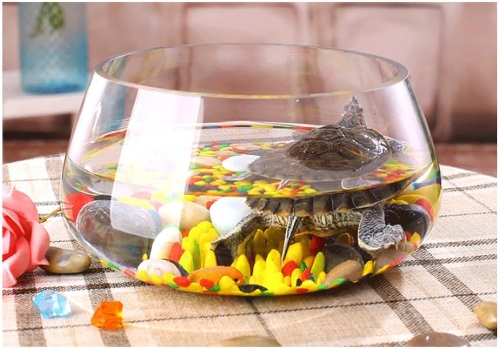 Fish Tank Creative Round Transparent Glass Fish Tank Aquarium Home Office Fish Tank Aquarium Living Room Desk Aquarium Decoration Glass Fish Tank(22cm)