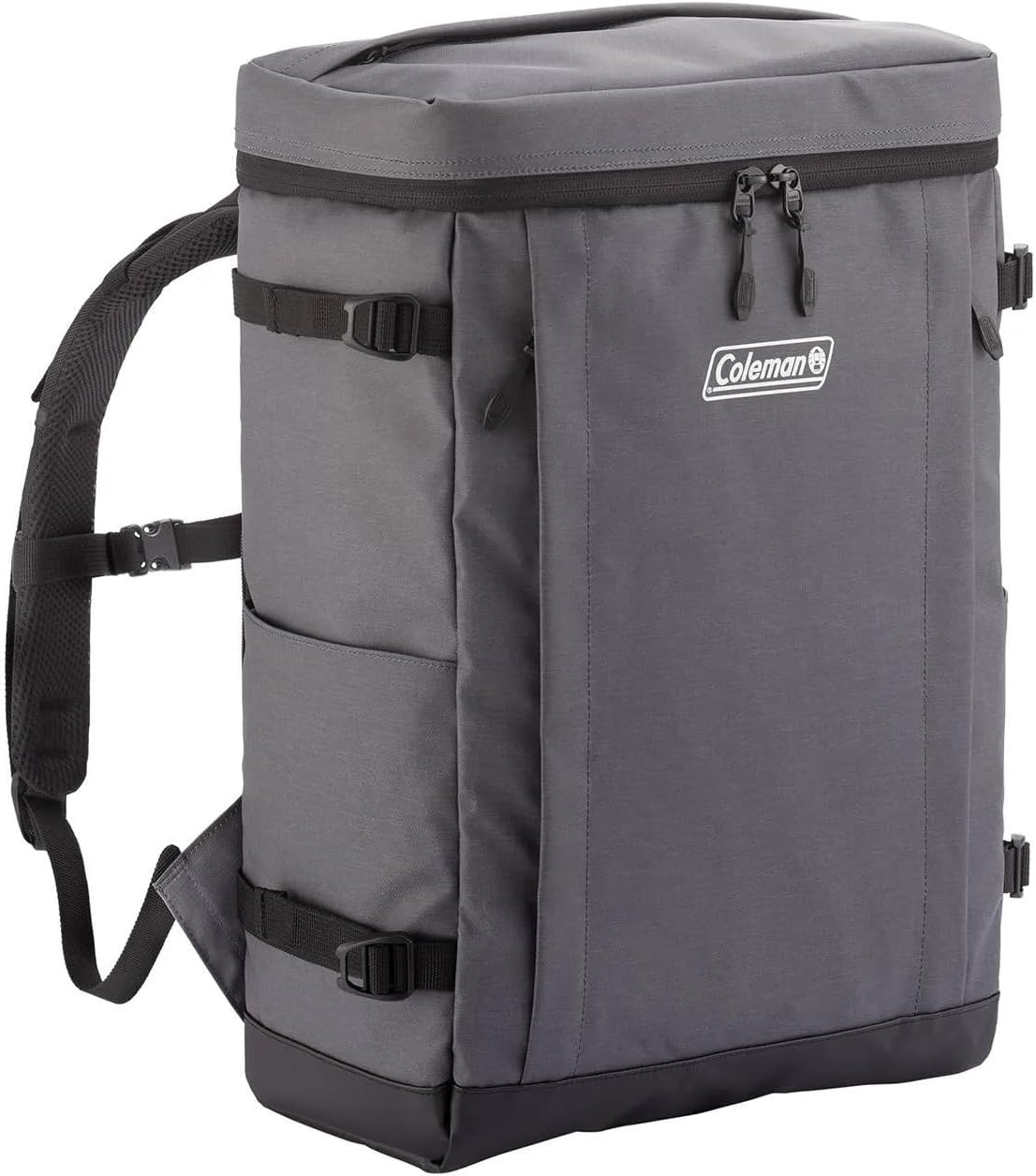 Coleman Shield 30 Backpack, multicolor (gray/black)