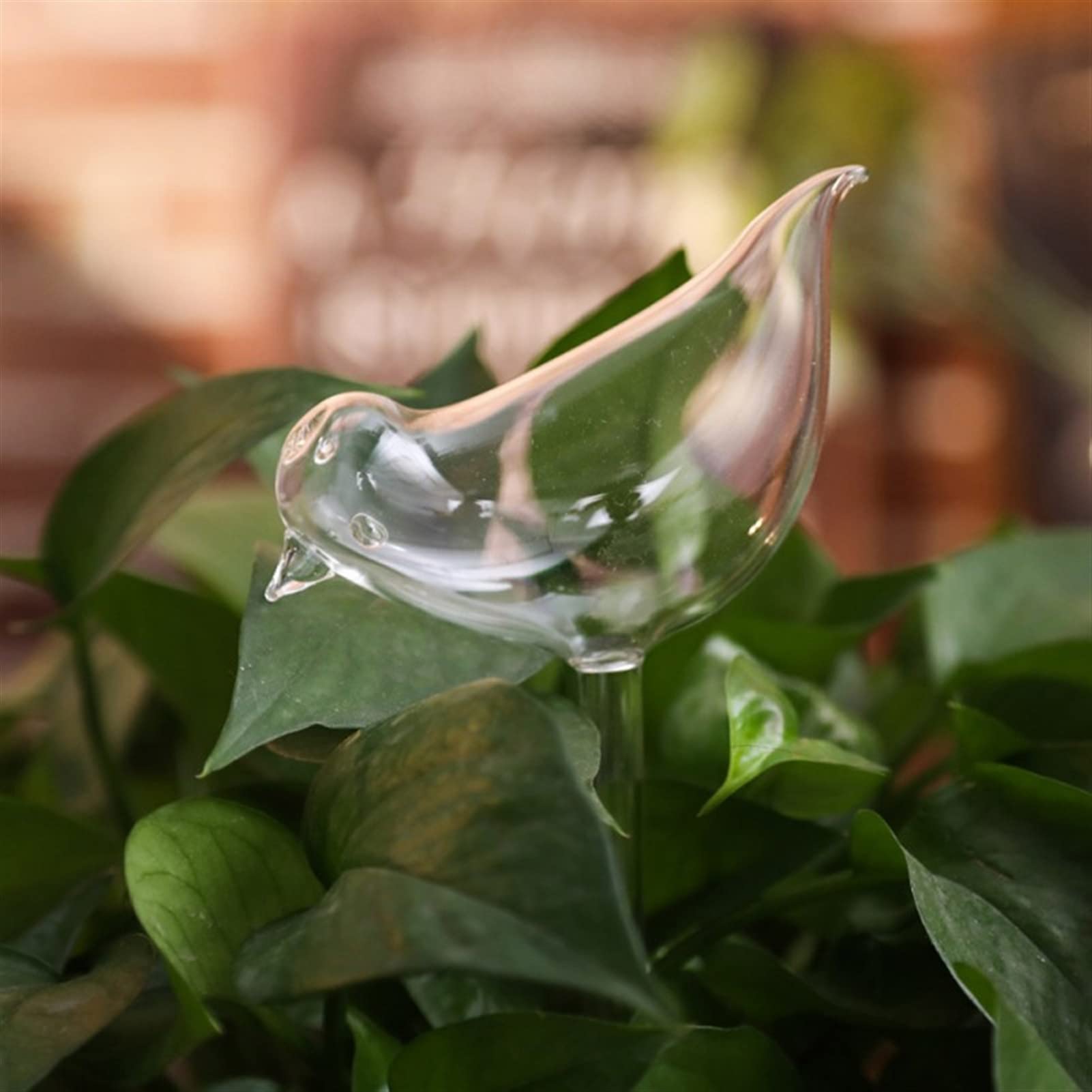 Arroseur en verre soufflé oiseau pour hydratation douce des plantes