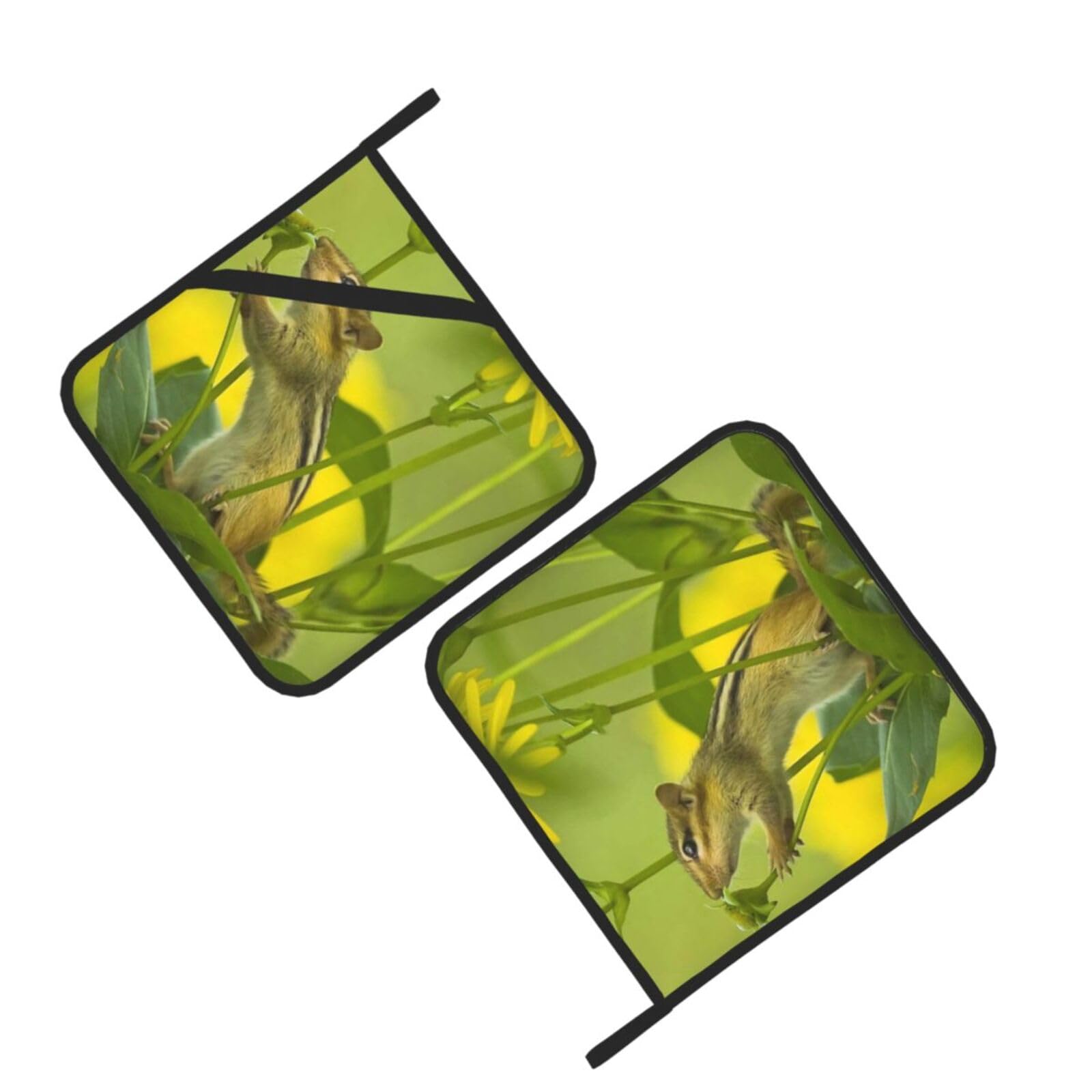 Wildlife Squirrel Flowers Printed Oven Pot Holders Set of 2 Pcs Heat Resistant Kitchen Microwave Potholders for Cooking Baking Grilling