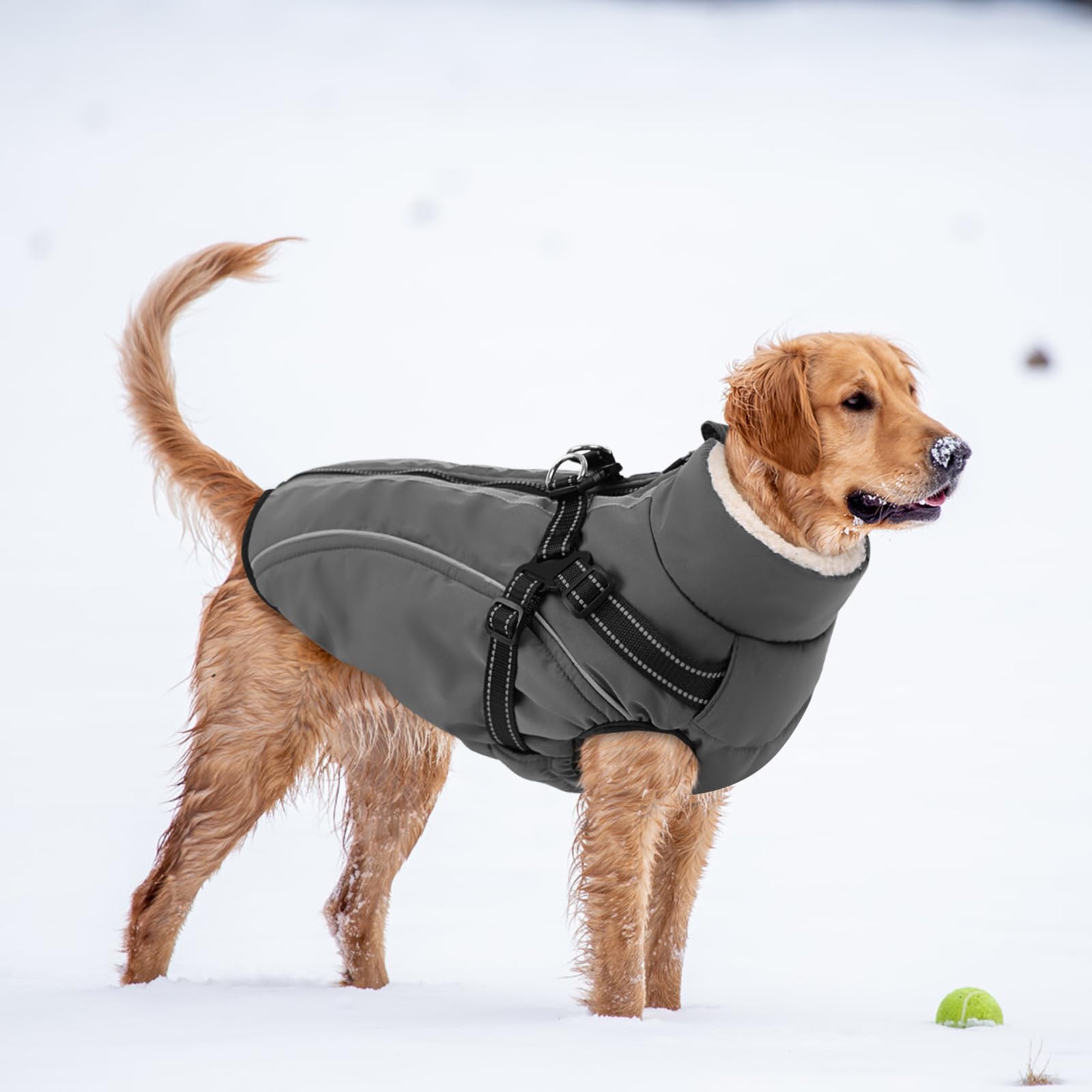 CITÉTOILE Hundemantel Hundejacke Warm Wintermantel mit Reißverschluss Winddichte & Winddichte mit Reflektorstreifen & Brustgurt für kleine Mittel Große Hunde Grau XL