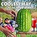 Watermelon Tap Kit - High Durability Stainless Steel Watermelon and Pumpkin Tapping Kit
