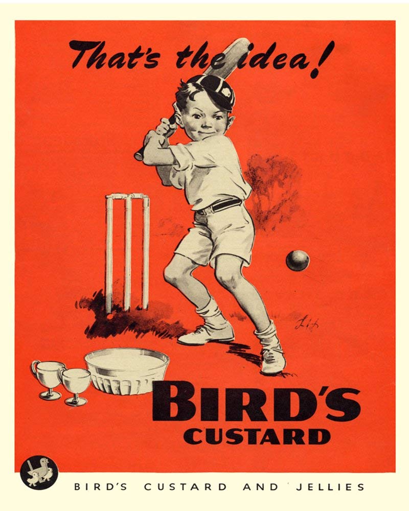 Chill Earth Tones Birds Custard That's The Idea! Vintage Metal Wall Sign 6X8inches Plaque Vintage Retro Poster Art Picture Print