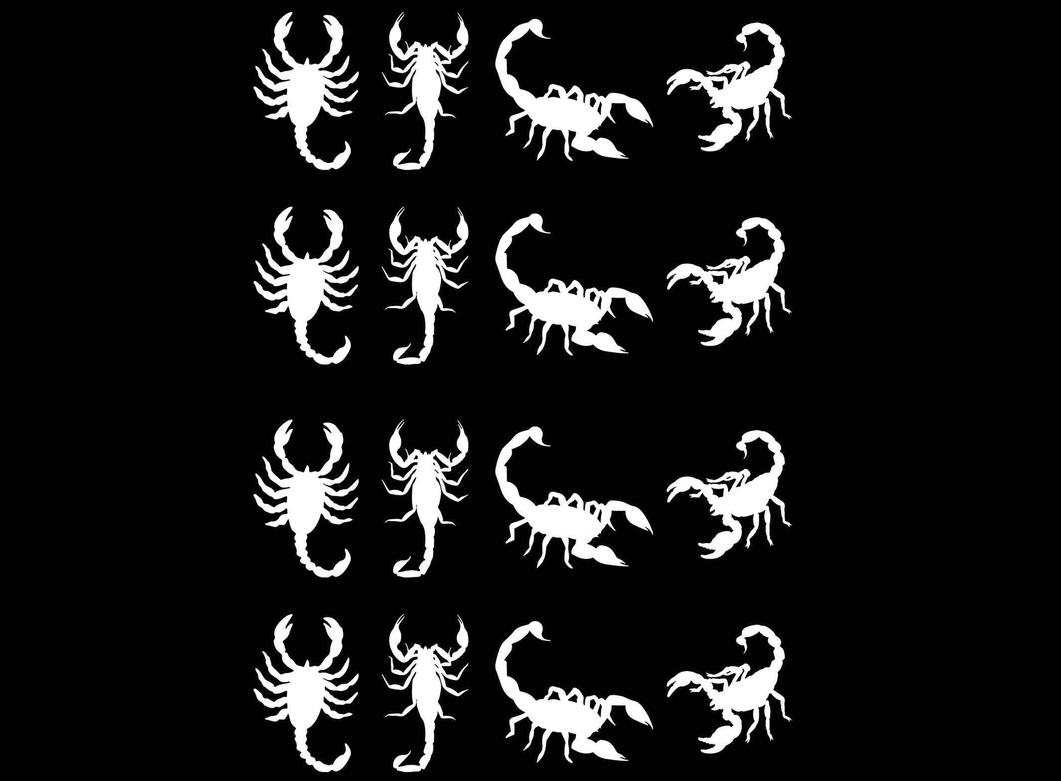 Scorpion 16 pcs 1 Inch White Fused Glass Decals