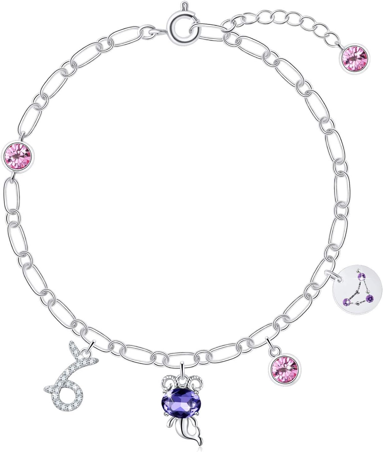 SUE'S SECRETAstrology Birthstone Charm Bracelets Zodiac Constellations Sign with Crystals from Austria Delicate Gift for Girls Women
