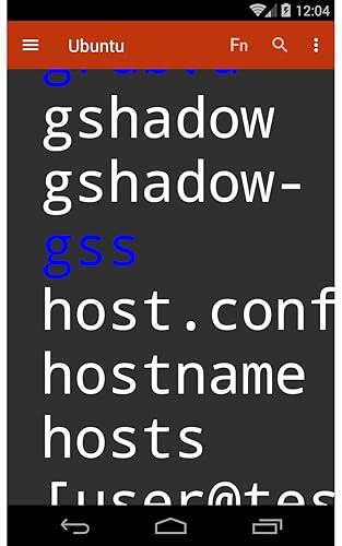 Term> SSH/SFTP, ssl, tcp client