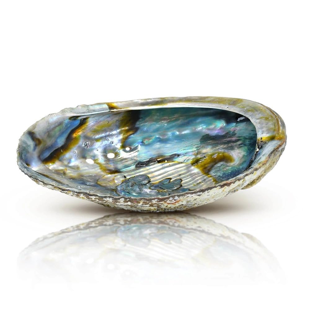 Set Esoterico per Meditazione e Chakra – Palo Santo, Salvia Bianca, Muschio Abalone, Candela 7 Chakra, Bracciale e Ciondolo con Pietre Naturali – Regalo Spirituale