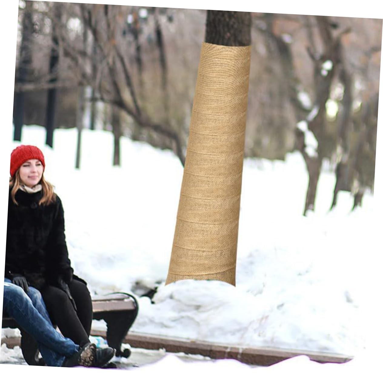 Kisangel 5rotoli Protezione Invernale per Alberi Lino Naturale Avvolgente per Giardinaggio e Trasplantare Piante