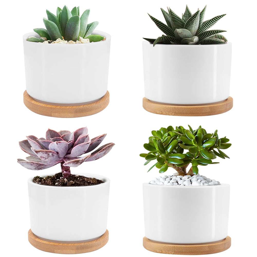 Gepege Set 4 Vasi Per Piante Grasse In Ceramica - 10,2 Cm Con Fori Di Drenaggio E Sottovasi, Colore Bianco Crema