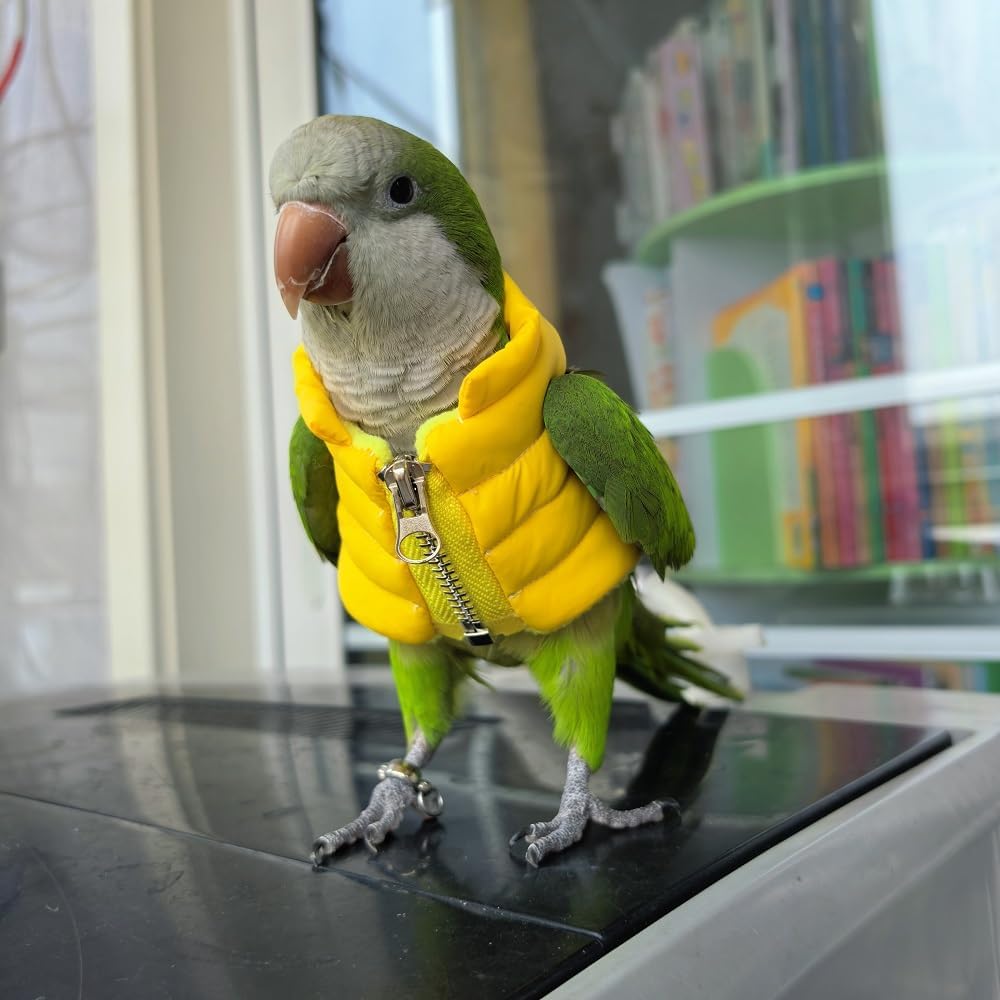 Pet Bird Winter Vest, Yellow Puffer Jacket with Zipper, Small Parrot Apparel (5XL)