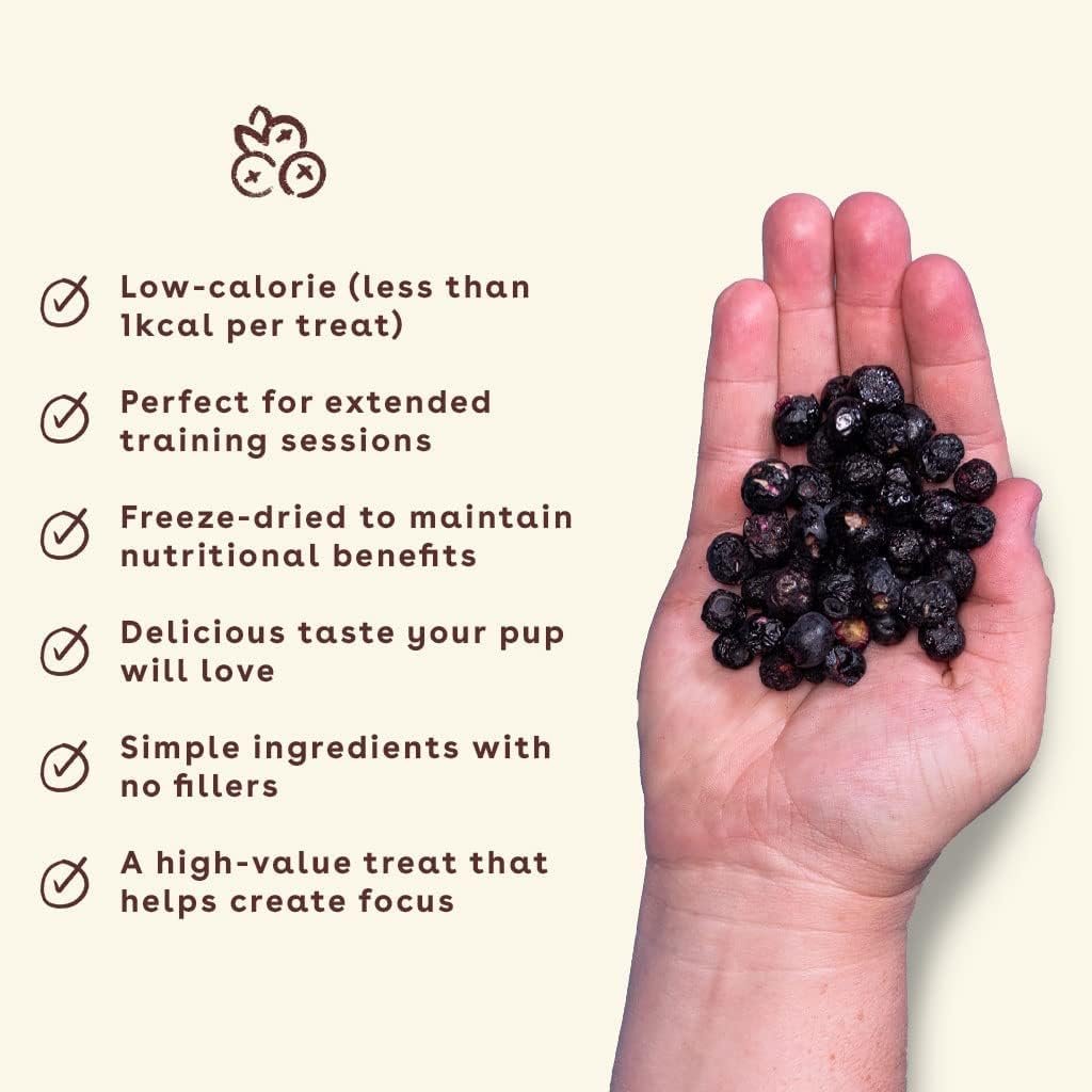 Pupford Freeze Dried Training Treats for Dogs & Puppies, 1000+ Limited Ingredient Bites (Fruits & Veggie Bundle)